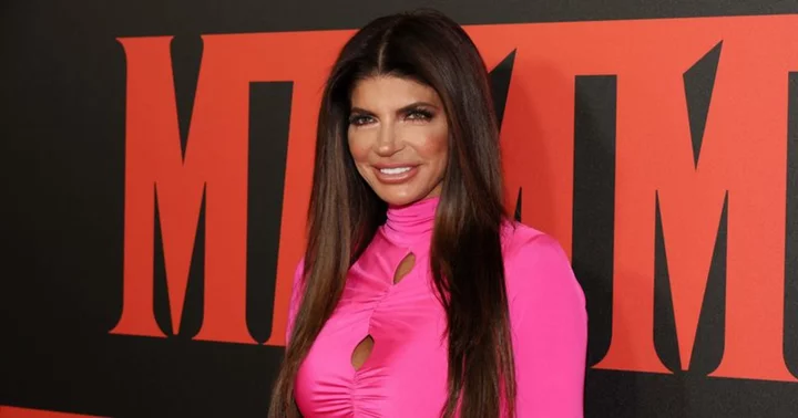 'You just woke up?': 'RHONJ' fans slam Teresa Giudice for claiming to not know about autism until meeting stepson