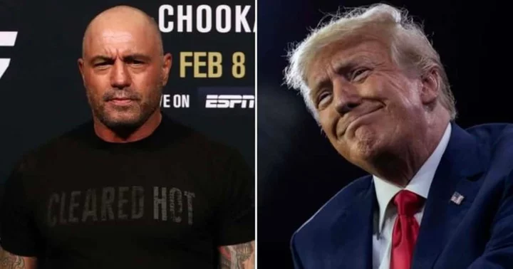Will Joe Rogan accept Donald Trump's interview request? Here's why 'JRE' host kept turning down ex-president's offer