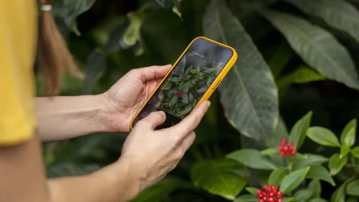 How to Identify Plants Using Your iPhone Camera