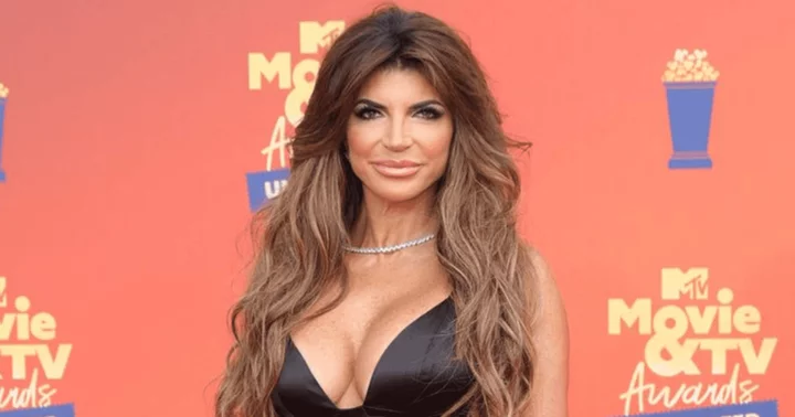 Teresa Giudice roasted for 'heavily filtered' photo of her posing with Buddha statue: 'Pulled, tucked and filled'