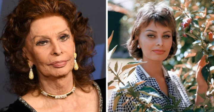 'She has started the rehabilitation': Sophia Loren's manager says the actress is slowly recovering after surgery