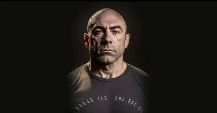 Who was behind 'The Joe Rogan AI Experience' podcast? Was it successful?