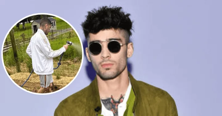 Zayn Malik wins the internet with adorable gardening picture taken by his daughter Khai