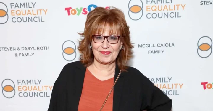'They sacked my behind': Joy Behar makes sly joke about being 'canned' and missing 2 years of 'The View'