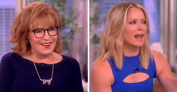 ‘The View’ host Sara Haines has a hilarious response as Joy Behar asks if she’s having another child