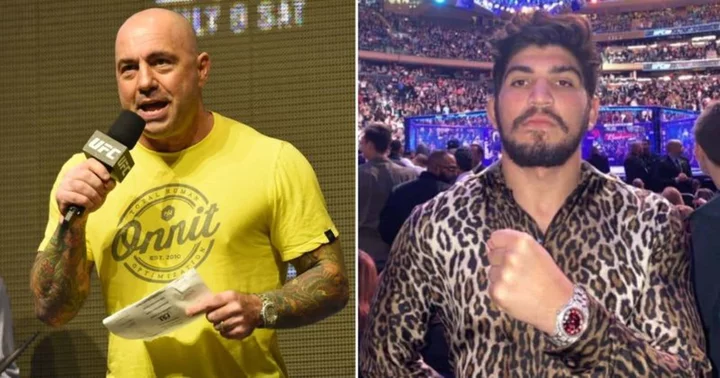 Dillon Danis awaits Joe Rogan's invite to 'JRE' podcast to reveal 'secrets', Internet says MMA star 'has more tweets than punches'