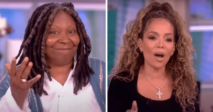 'Oh, bite me!': Frustrated Whoopi Goldberg snaps at Sunny Hostin as 'The View' co-hosts discuss platonic relationships