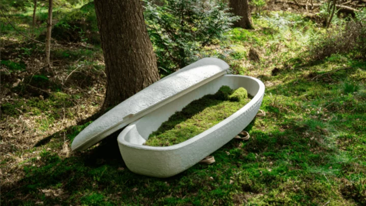 Mushroom Coffins Are the Latest Green Burial Trend