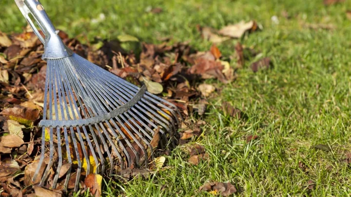 Spruce Up Your Home and Yard With These 13 Fall Cleanup Essentials