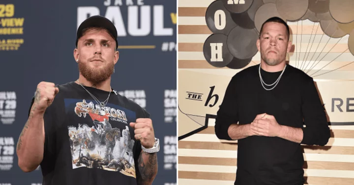 Jake Paul's epic victory in boxing showdown with Nate Diaz unleashes viral meme extravaganza on social media