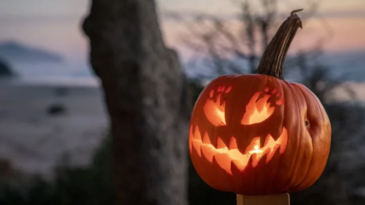 The Best Pumpkin-Carving Tools and Accessories, According to an Expert