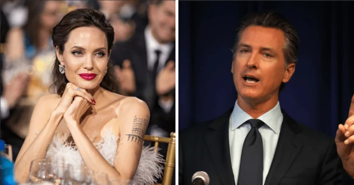 What is the Piqui's Law? Angelina Jolie slams biased judge in custody battle with Brad Pitt