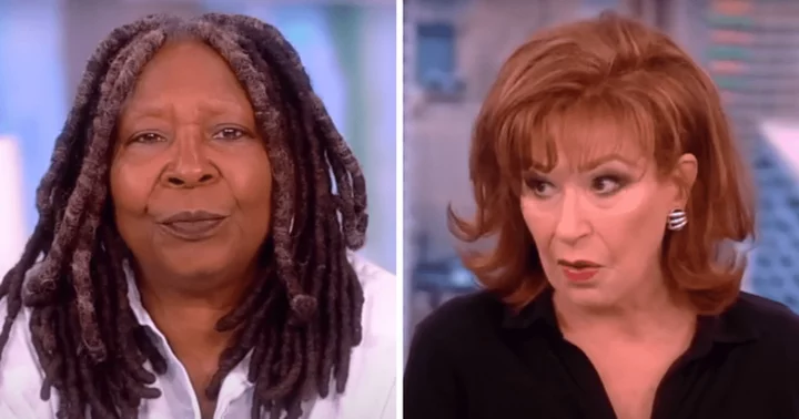 Is Whoopi Goldberg a cat person? The View's Joy Behar reveals why her dog doesn't like fellow co-host