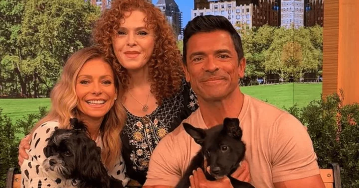 ‘Live’ host Mark Consuelos has hard time due to unusual guests as he calls for crew members' help mid-segment