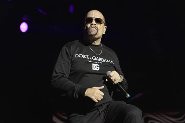 Public Enemy, Ice-T to headline free D.C. concerts, The National Celebration of Hip Hop