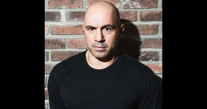 Is Joe Rogan co-owner of UFC? Here's what we know