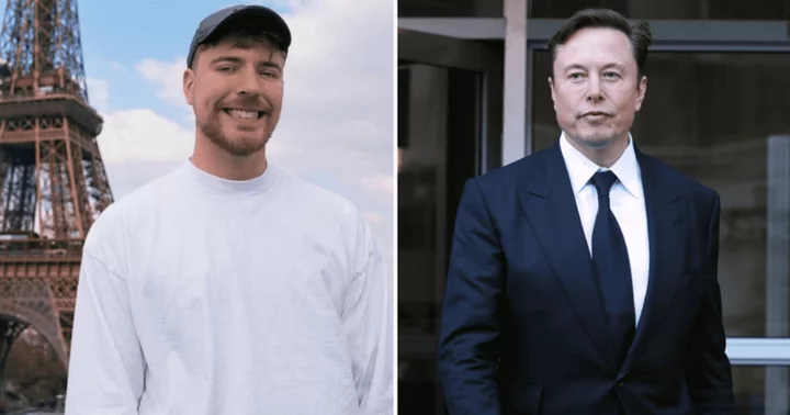 Will MrBeast become Twitter CEO if Elon Musk's pick 'doesn't work out'?