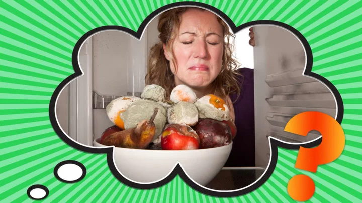 How Did ‘Gross’ Become a Term of Disgust?