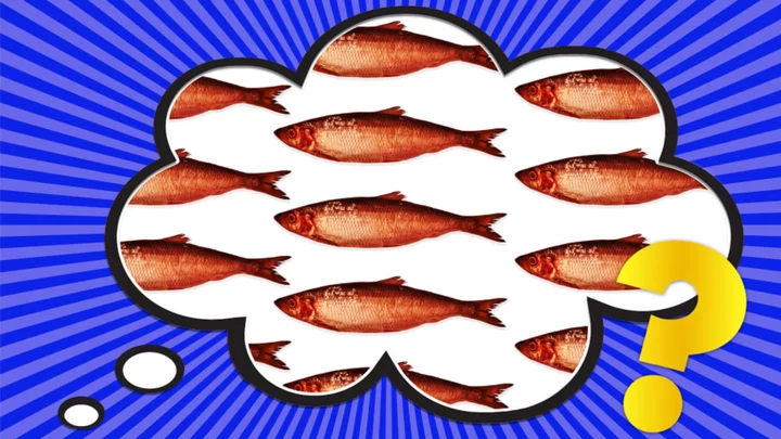 Where Did the Phrase 'Red Herring' Come From?