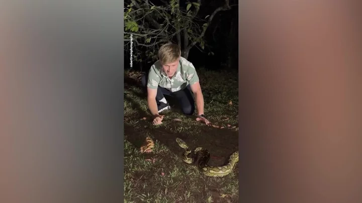 Steve Irwin's son in nail-biting near-miss with python inches from biting face