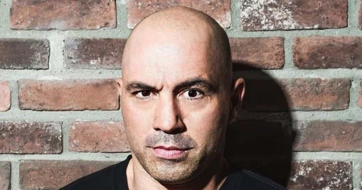 'Children were getting really stupid': Joe Rogan explains reason behind America's shrinking IQ