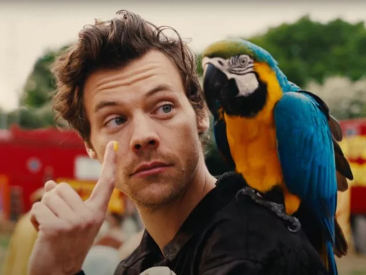 Harry Styles is up to his old charismatic tricks as part of a traveling circus in 'Daylight' music video